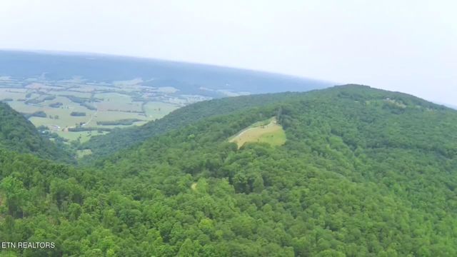 1499 Big Ridge Rd, Spring City, TN 37381