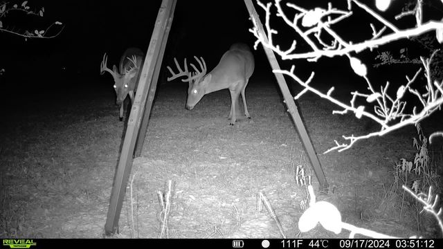 692 County Road 3318, Greenville, TX 75402