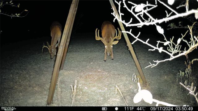 692 County Road 3318, Greenville, TX 75402