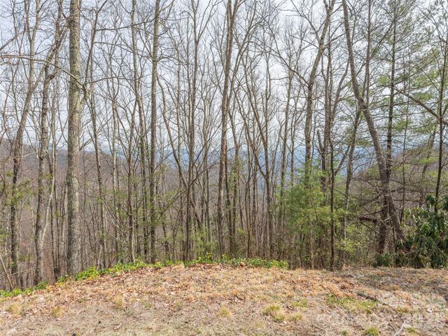 0000 Sigogglin Trail 4, Waynesville, NC 28785