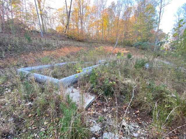 135 David Brown Road, Jasper, TN 37347