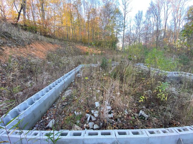 135 David Brown Road, Jasper, TN 37347