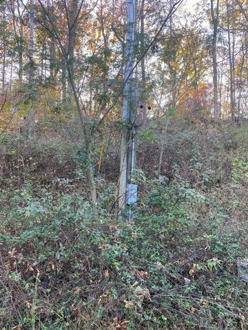 135 David Brown Road, Jasper, TN 37347