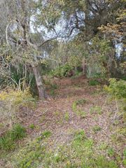 165 US HWY 301, Lochloosa, FL 32662