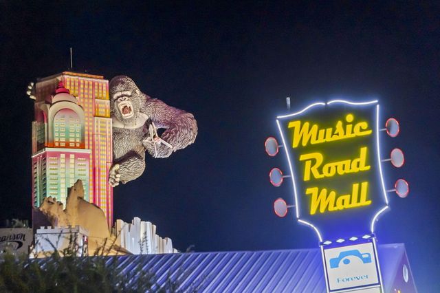 835 Fairview Street 4, Branson, MO 65616