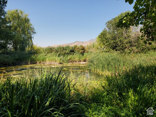 1491 E 2300 N, North Logan, UT 84341