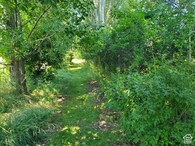 1491 E 2300 N, North Logan, UT 84341