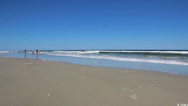 291 Long Beard Way, Longs, SC 29568