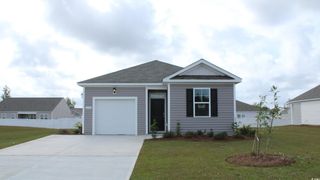 291 Long Beard Way, Longs, SC 29568