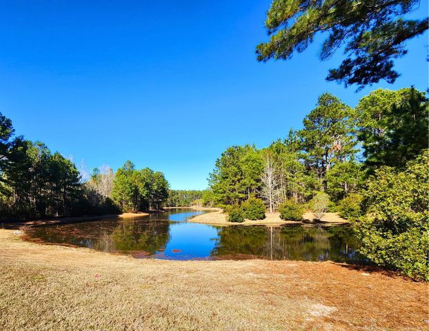 184 Twickenham Loop, Yemassee, SC 29945