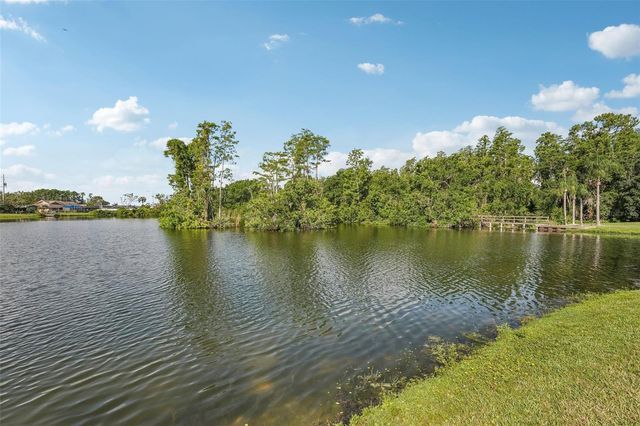 1613 COMFY COURT, Sun City Center, FL 33573