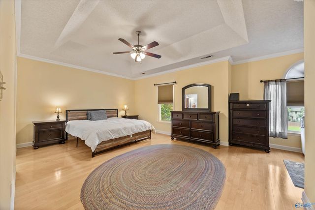 119 Caenstone Court, Madison, AL 35758