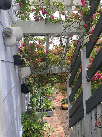 1203 Avenue L, Galveston, TX 77550