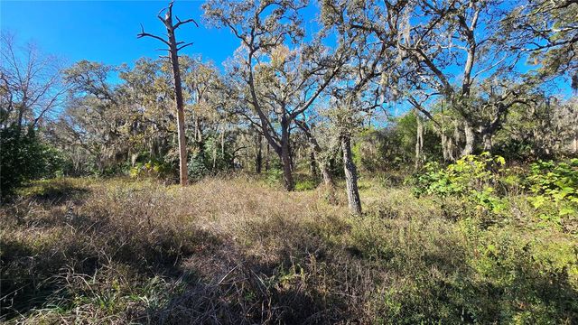 15609 BECKY LANE, Hudson, FL 34667