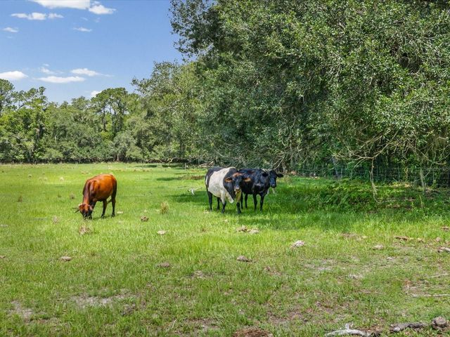 6413 EMERSON ROAD, Brooksville, FL 34601