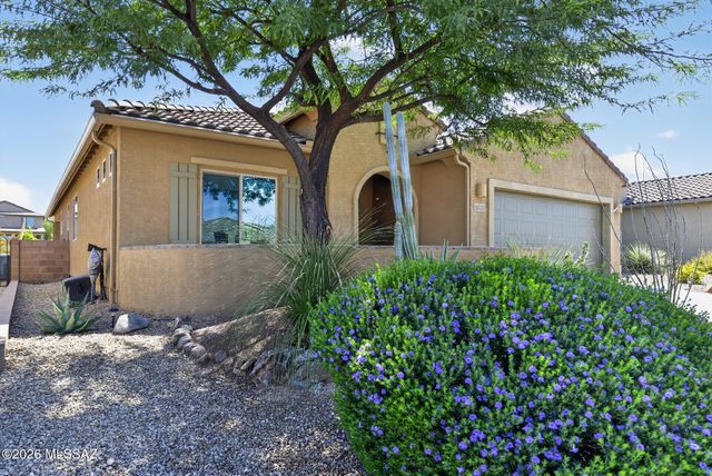 14079 E Via Cerro Del Molino, Vail, AZ 85641