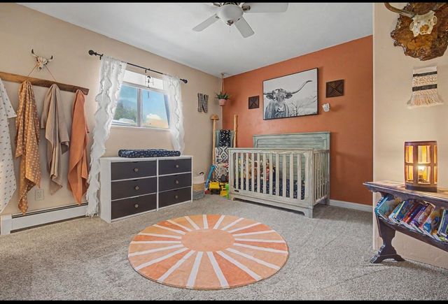 231 W Roberson Drive, Fruita, CO 81521