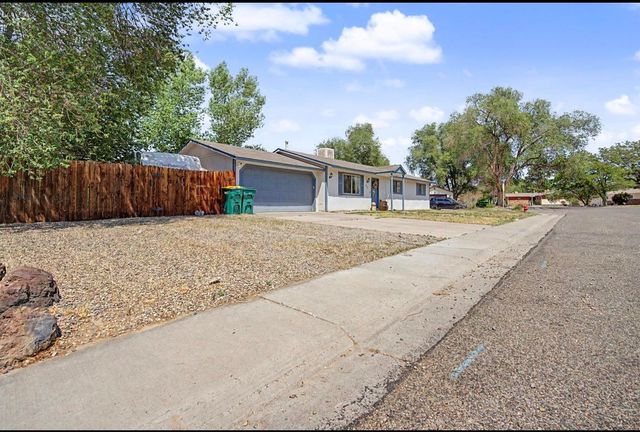 231 W Roberson Drive, Fruita, CO 81521