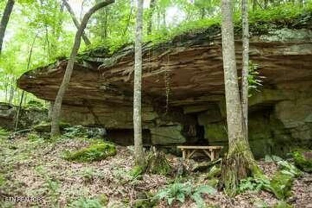 247 Thrushwood Drive, Fairfield Glade, TN 38558