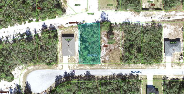 611 ALAFIA PLACE, Kissimmee, FL 34759