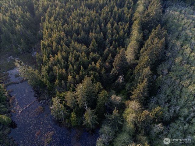 0 Ocean Beach Road, Copalis Crossing, WA 98536