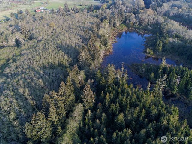 0 Ocean Beach Road, Copalis Crossing, WA 98536