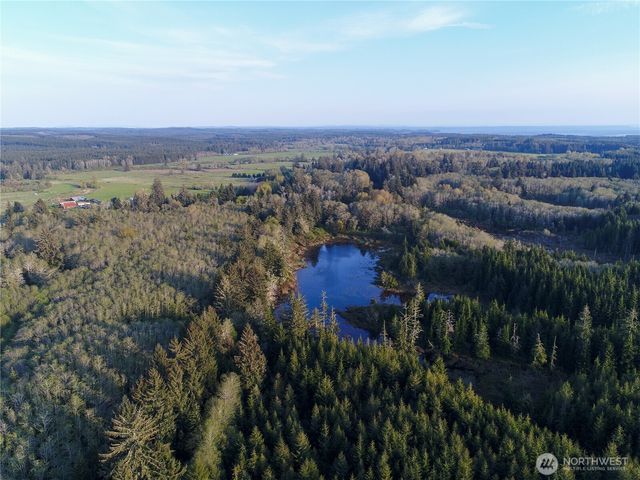 0 Ocean Beach Road, Copalis Crossing, WA 98536