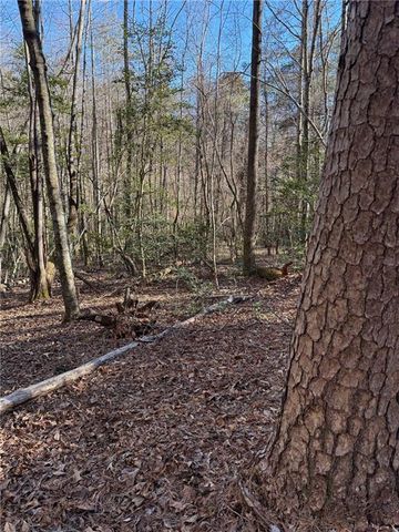 0 Highway 19 N N, Dahlonega, GA 30533