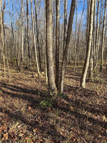 0 Highway 19 N N, Dahlonega, GA 30533