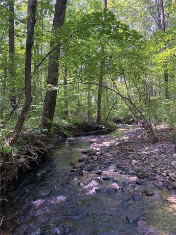 0 Highway 19 N N, Dahlonega, GA 30533