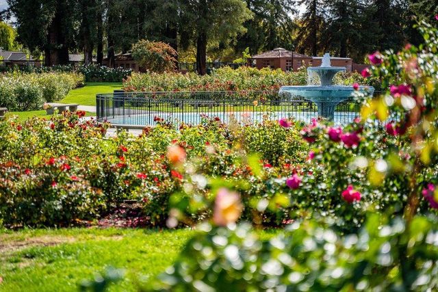 1555 Calaveras Avenue, San Jose, CA 95126