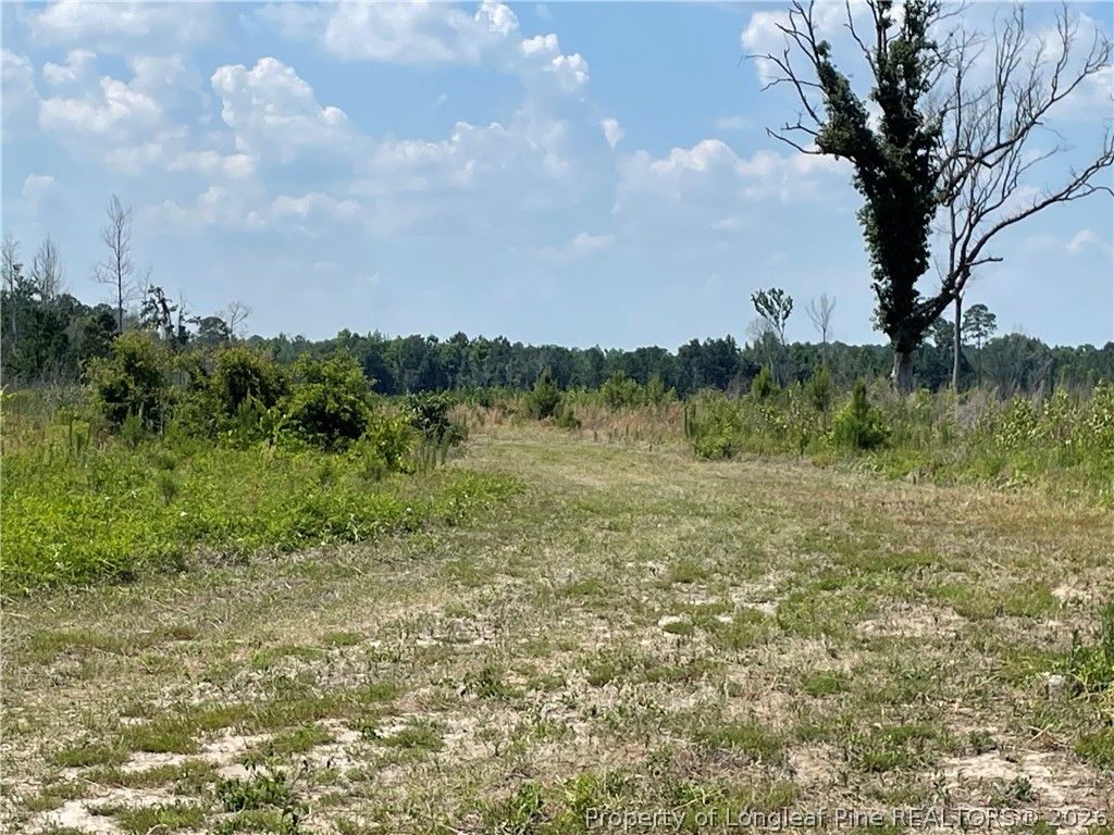 8511 NC 210 Highway W, Garland, NC 28441 — photo 12