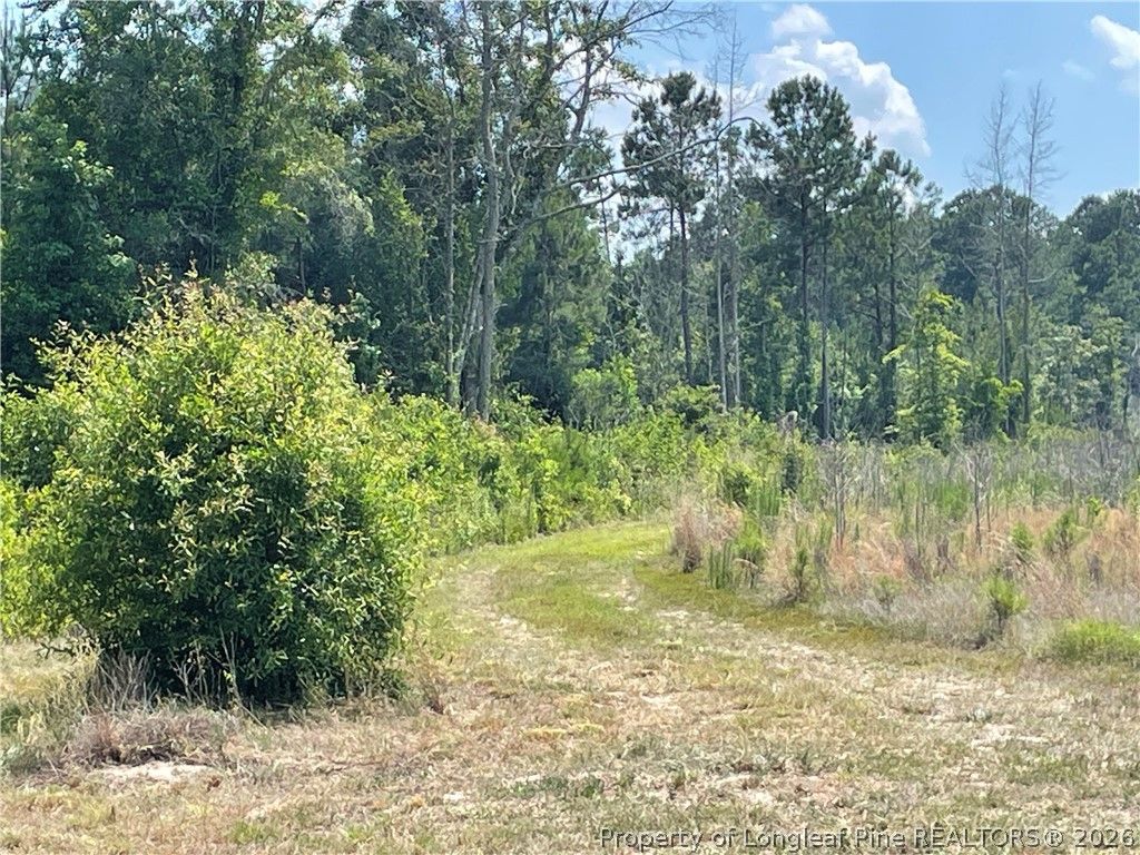 8511 NC 210 Highway W, Garland, NC 28441 — photo 13
