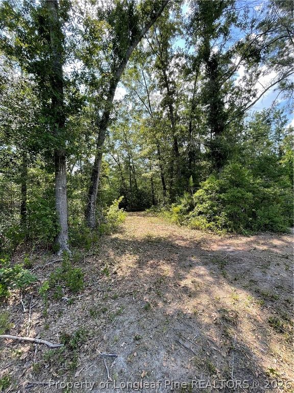 8511 NC 210 Highway W, Garland, NC 28441 — photo 15