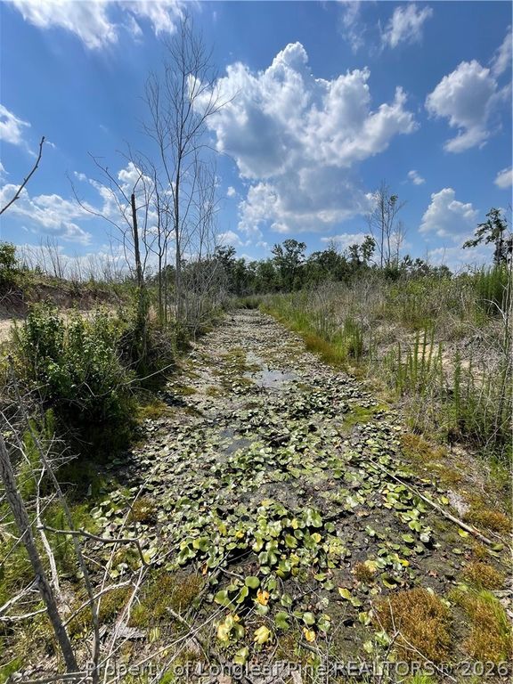 8511 NC 210 Highway W, Garland, NC 28441 — photo 16