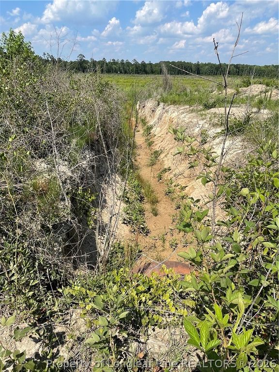 8511 NC 210 Highway W, Garland, NC 28441 — photo 17