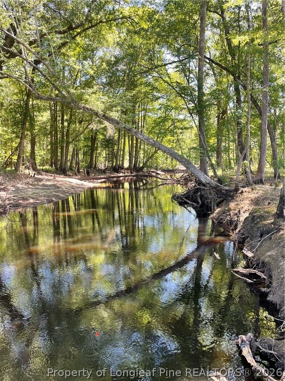 8511 NC 210 Highway W, Garland, NC 28441 — photo 2