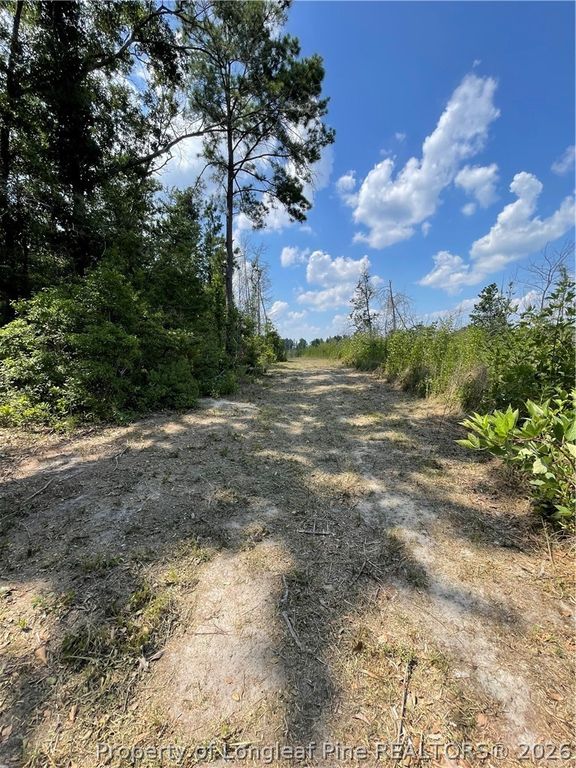 8511 NC 210 Highway W, Garland, NC 28441 — photo 20