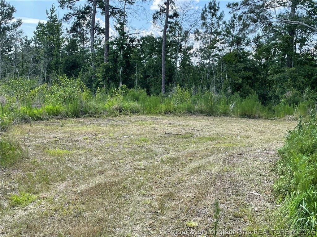 8511 NC 210 Highway W, Garland, NC 28441 — photo 21