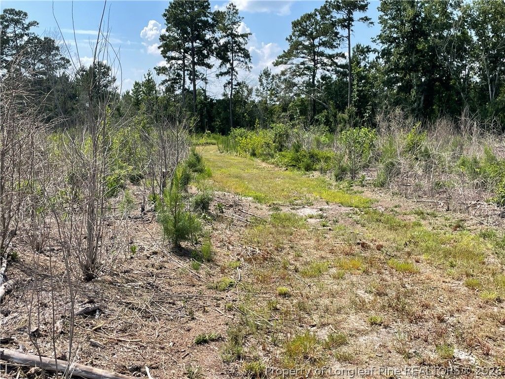 8511 NC 210 Highway W, Garland, NC 28441 — photo 22