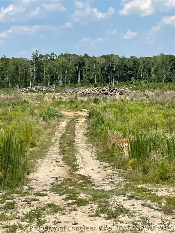 8511 NC 210 Highway W, Garland, NC 28441 — photo 24