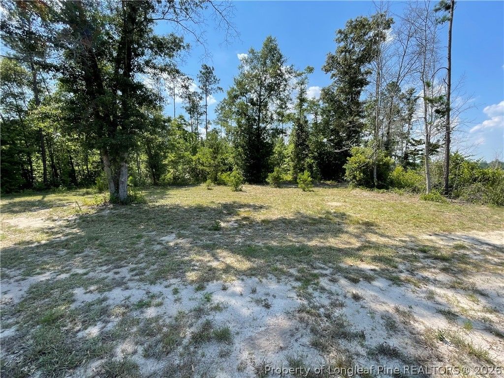 8511 NC 210 Highway W, Garland, NC 28441 — photo 27
