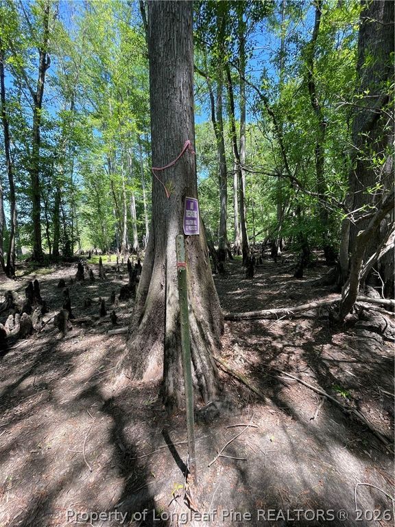 8511 NC 210 Highway W, Garland, NC 28441 — photo 4