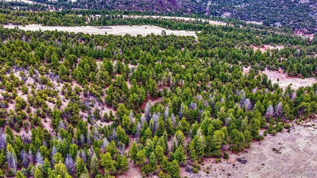 10475 County Road 12, Cotopaxi, CO 81223