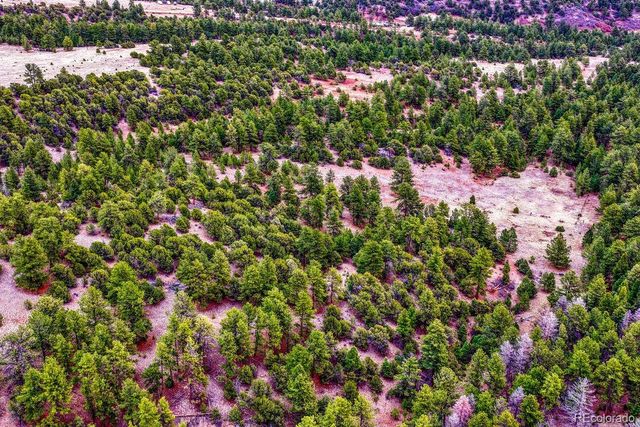 10475 County Road 12, Cotopaxi, CO 81223