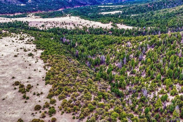 10475 County Road 12, Cotopaxi, CO 81223