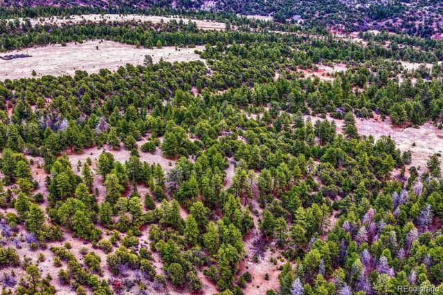 10475 County Road 12, Cotopaxi, CO 81223