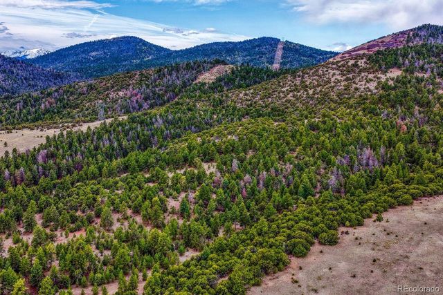 10475 County Road 12, Cotopaxi, CO 81223