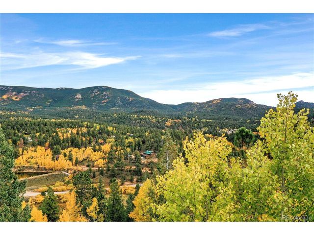 168 Wise Rd, Bailey, CO 80421