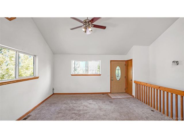 168 Wise Rd, Bailey, CO 80421